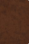 ESV Value Compact Bible (Trutone, Brown) - Esv Bibles - 9798874902780
