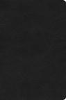 ESV Value Compact Bible (Trutone, Black) - Esv Bibles - 9798874902827
