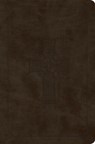 ESV Value Compact Bible (Trutone, Olive, Celtic Cross Design) - Esv Bibles - 9798874902858