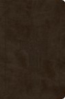 ESV Value Compact Bible (Trutone, Olive, Celtic Cross Design) -  - 9798874902858