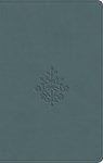 ESV Value Compact Bible (Trutone, Paris Sky, Branch Design) - Esv Bibles - 9798874902865