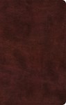 ESV Large Print Thinline Bible -  - 9798874906719