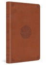 ESV Large Print Thinline Bible - Esv Bibles - 9798874906733