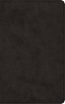 ESV Vest Pocket New Testament with Psalms and Proverbs, Red Letter - Esv Bibles - 9798874907358