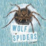 Wolf Spiders - Lisa J. Amstutz - 9798875224546