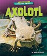 Axolotl - Jenna Grodzicki - 9798885099998