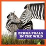 Zebra Foals in the Wild - Marie Brandle - 9798885240840