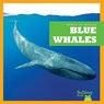 Blue Whales - Eliza Leahy - 9798885245890