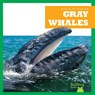 Gray Whales - Eliza Leahy - 9798885245920