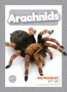 Arachnids - Joanna Brundle - 9798885248037