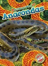 Anacondas - Suzane Nguyen - 9798886870343