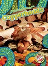 Copperheads - Suzane Nguyen - 9798886870374
