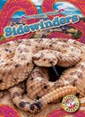 Sidewinders - Joanne Mattern - 9798886870411