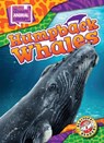 Humpback Whales - Janie Scheffer - 9798886879711