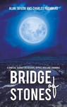 Bridge of Stones - Alan Taylor ; Charles Fasanaro - 9798886934564