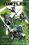 Teenage Mutant Ninja Turtles, Vol. 1: Return to New York - Jason Aaron ; Joelle Jones - 9798887243061