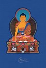 The Celestial Galleries - Romio Shrestha - 9798887621395