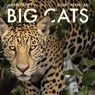 2026 Big Cats Wall Calendar -  - 9798887621579