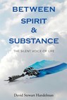 Between Spirit and Substance - David Stewart Handelman - 9798887751962