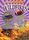 Wildfires - Marcia Abramson - 9798888221587