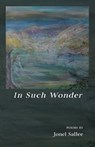 In Such Wonder - Jonel Sallee - 9798888389096