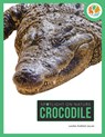 Crocodile - Laura Purdie Salas - 9798889891918
