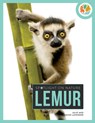 Lemur - Julie Lavender - 9798889891949