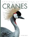Cranes - Mari Bolte - 9798889892427