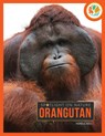 Orangutan - Pamela Dell - 9798889896265