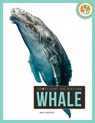 Whale - Nell Musolf - 9798889896296