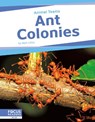 Ant Colonies - Matt Lilley - 9798889981886