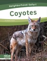 Coyotes - Dalton Rains - 9798889982296