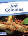 Ant Colonies - Matt Lilley - 9798889982449
