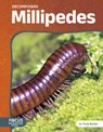 Millipedes - Trudy Becker - 9798889984283