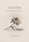 Just This - John Brehm - 9798890700520