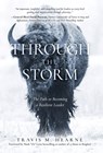 Through the Storm: The Path to Becoming a Resilient Leader - Travis Hearne - 9798890791733
