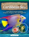 Incredible Creatures of the Caribbean Sea: Learn about Animals Including Octopuses, Stingrays, Eels, and Triggerfish! - Amie Jane Leavitt - 9798890941794