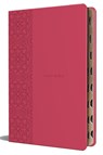 KJV Holy Bible, Large Print Medium Format, Fuchsia Faux Leather W/Ribbon Marker, Red Letter, Thumb Index - Origin - 9798890981851