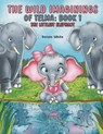 The Wild Imaginings of Telma: Book 1 - Denise White - 9798891557253