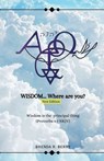 WISDOM... Where Are You? - Brenda R. Berry - 9798891900912