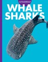 Curious about Whale Sharks - Monika Davies - 9798892005081