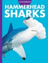 Curious about Hammerhead Sharks - Monika Davies - 9798892005593