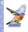 Bluebirds - Anastasia Suen - 9798892008952