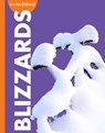Curious about Blizzards - Rachel Grack - 9798892009010