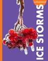 Curious about Ice Storms - Deborah Scigliano - 9798892009072