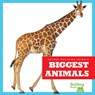 Biggest Animals - Lily Austen - 9798892131261