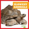 Slowest Animals - Lily Austen - 9798892131322