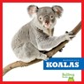Koalas - Natalie Deniston - 9798892135191