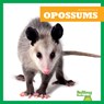 Opossums - Natalie Deniston - 9798892135221