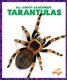Tarantulas - Becca Becker - 9798892136211